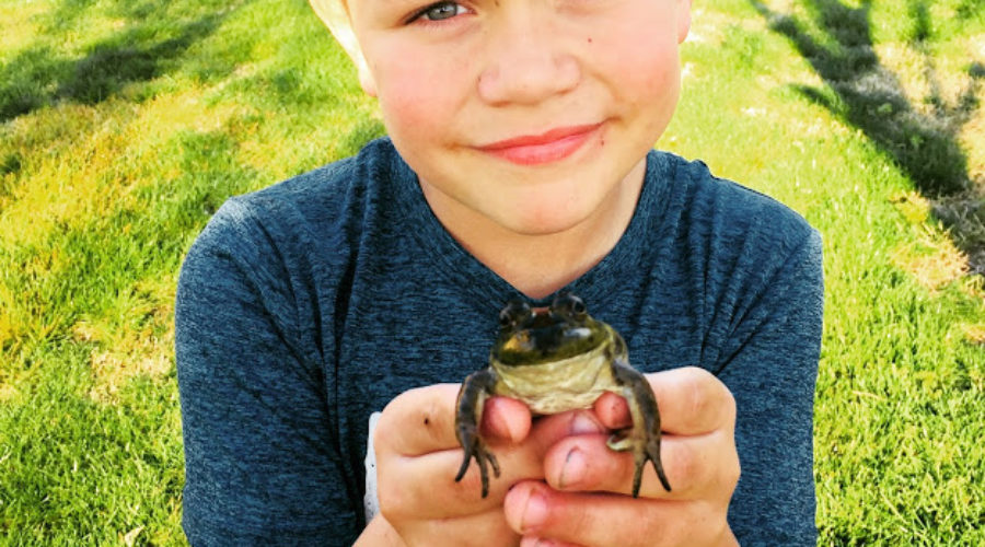 How A Bullfrog Beat Fortnite